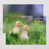 Canards jaunes Invitation de Pâques (Devant / Derrière)