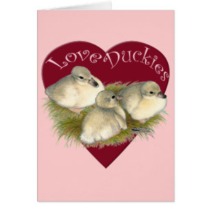 Canards mignons