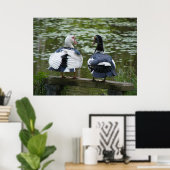 Canards Muscovy Assis Sur Une Affiche D'Ornement (Bureau à domicile)