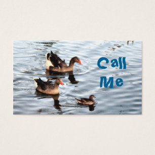 Canards nageurs