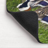 Canards pilotant le tapis de souris (Coin)