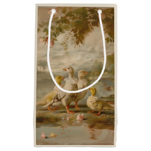 Canards - Sac cadeau (Devant)