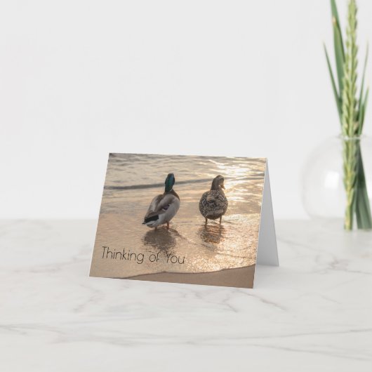 Canards sur la plage Penser de vous carte pour not (Devant)