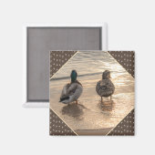 Canards sur la plage Pittoresque Magnet Brown (Recto/Verso)