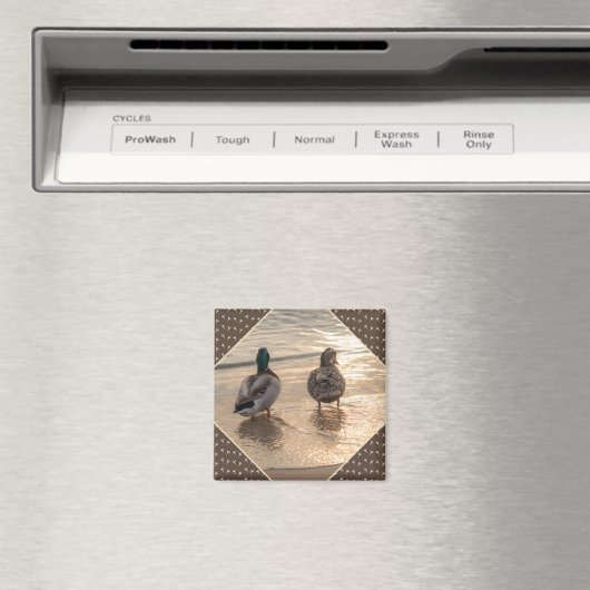 Canards sur la plage Pittoresque Magnet Brown (In Situ (Lave-vaisselle))