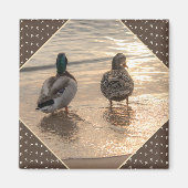 Canards sur la plage Pittoresque Magnet Brown (Devant)