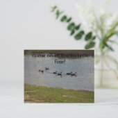 Canards sur l'eau Invitation (Debout devant)