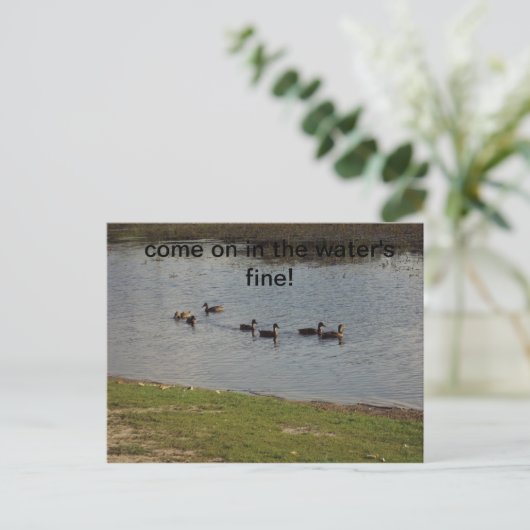 Canards sur l'eau Invitation (Debout devant)