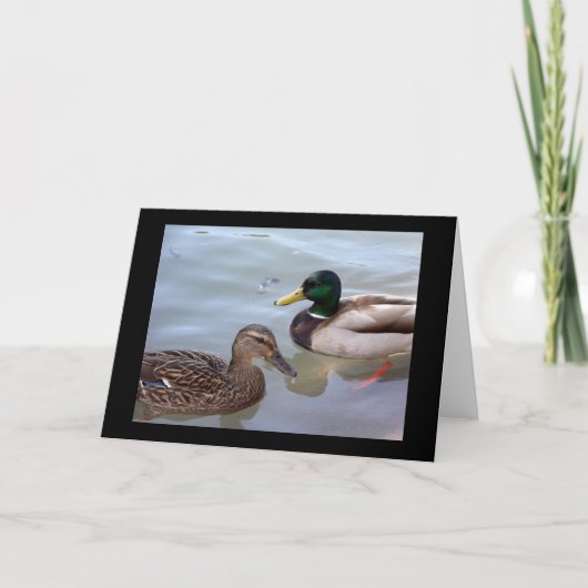 Canards sur une carte d'étang (Devant)