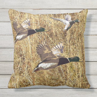 Canards volant au-dessus du coussin extérieur de