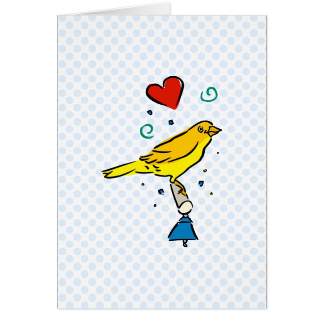 Canari de Careena (Devant)