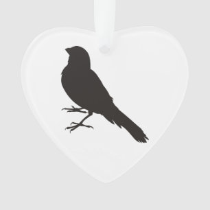Canari debout