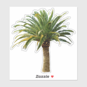 Canarische Eilanden Datum Palm Tree Sticker
