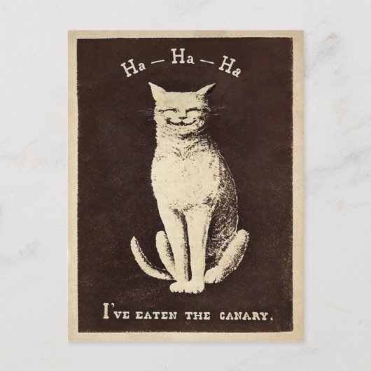  Canarische kat Briefkaart (Voorkant)