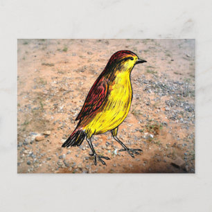 Canary Bird Briefkaart