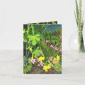 Canary & RedStar Note Kaart (Voorkant)