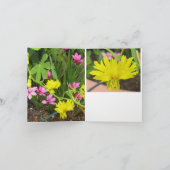 Canary & RedStar Note Kaart (Binnen)