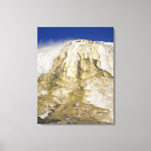 Canary Spring, Mammoth Hot Springs, Yellowstone Na Canvas Afdruk