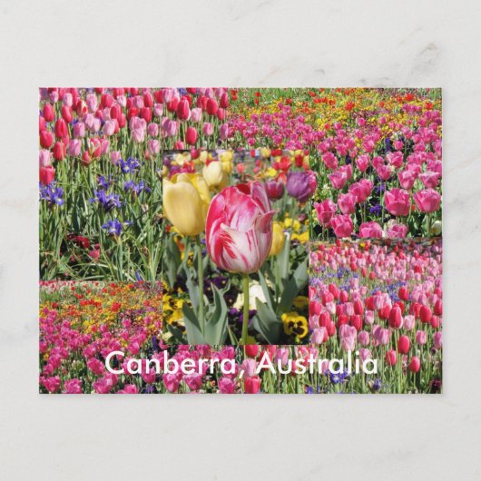 Canberra Australia briefkaart (Voorkant)