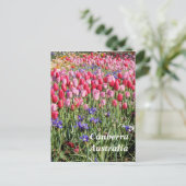 Canberra Australia briefkaart (Staand voorkant)