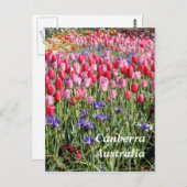 Canberra Australia briefkaart (Voorkant / Achterkant)