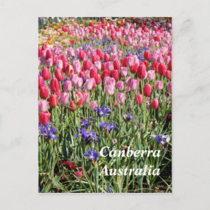 Canberra Australia briefkaart