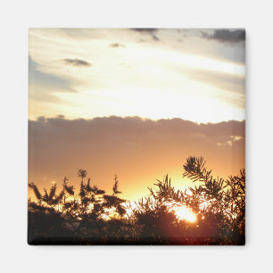 Canberra Sunset Magneet