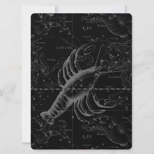 Cancer Constellation Hevelius 1690 Decor (Voorkant)