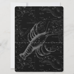 Cancer Constellation Hevelius 1690 Decor
