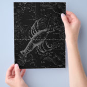 Cancer Constellation Hevelius 1690 Decor Flyer (Hand)