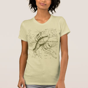 Cancer Constellation Hevelius 1690 Decor T-shirt