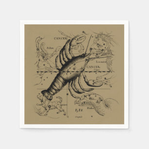 Cancer Constellation Hevelius 1690 Engaving Servet