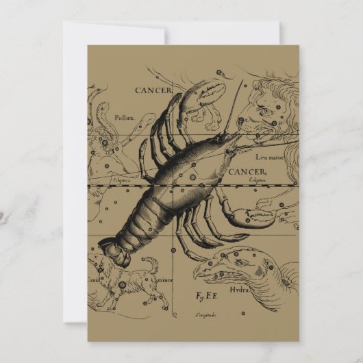 Cancer Constellation Hevelius 1690 June 21-Juli 22 (Voorkant)