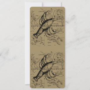 Cancer Constellation Hevelius 1690 June 21-Juli 22