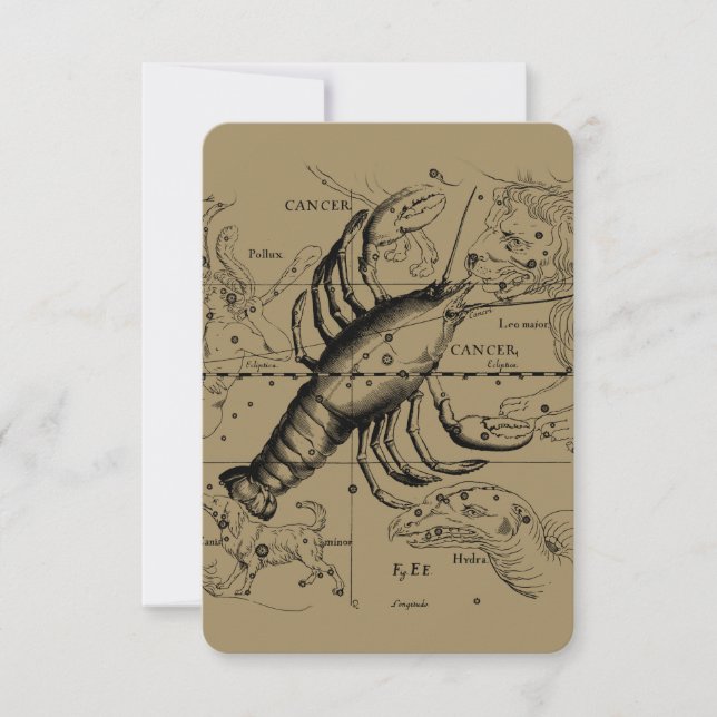 Cancer Constellation Hevelius 1690 June 21-Juli 22 (Voorkant)