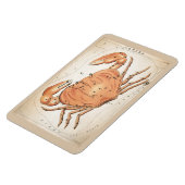 Cancer Constellation Magneet (Linkerzijde)