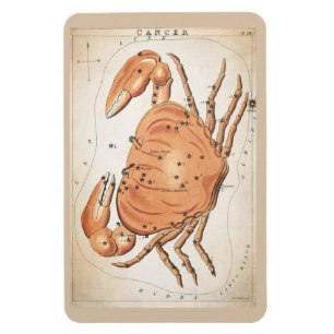 Cancer Constellation Magneet