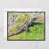 CANCUN #16 BRIEFKAART (Voorkant / Achterkant)