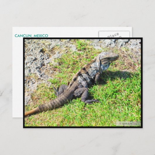 CANCUN #16 BRIEFKAART (Voorkant / Achterkant)