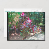 CANCUN #17 BRIEFKAART (Voorkant / Achterkant)