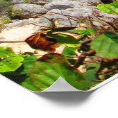 CANCUN #8 POSTER (Hoek)