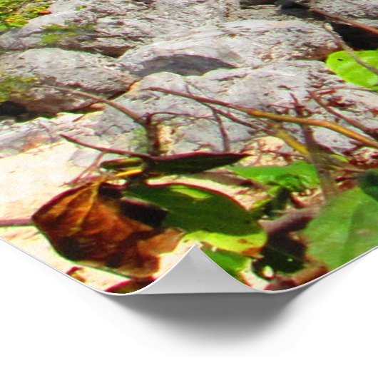 CANCUN POSTER N° 8 (Coin)