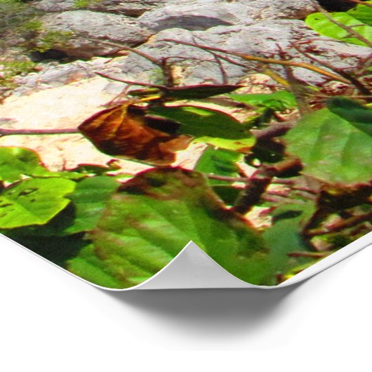 CANCUN POSTER N° 8 (Coin)