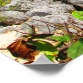 CANCUN POSTER N° 8 (Coin)