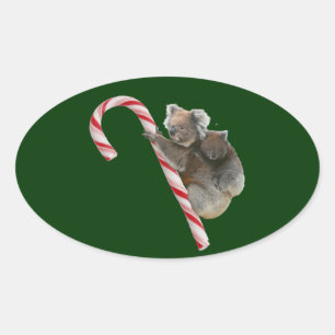 Candy Cane Australian Koala Beren Ovale Sticker