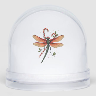 Candy Cane Dragonfly