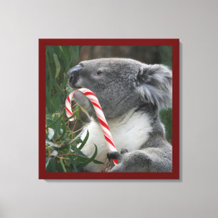 Candy Cane Eating Candy Cute Koala Canvas Afdruk
