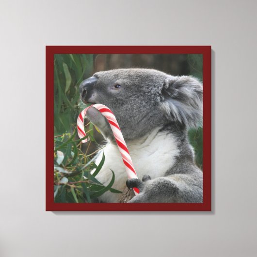 Candy Cane Eating Candy Cute Koala Canvas Afdruk (Voorkant)