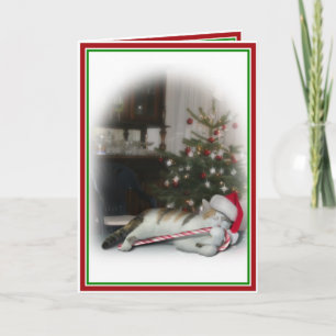 Candy Cane Kat Christmas Feestdagen Kaart