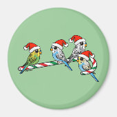 Candy Cane Santa Budgies Magneet (Voorkant)